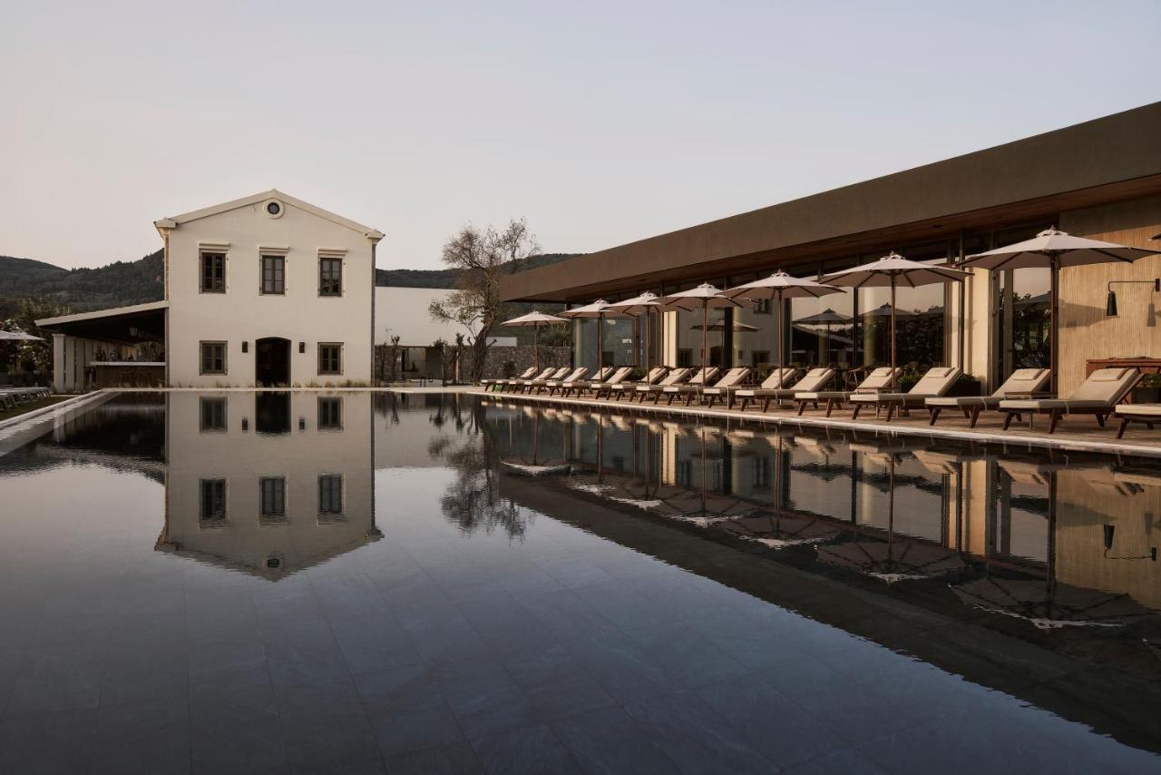 The Olivar Suites Meszongí Kültér fotó